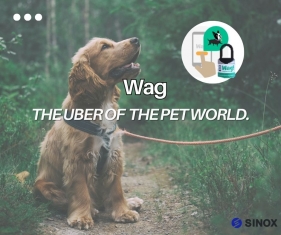 Can't Take Your Pet to Work or on a Trip? A Dedicated Pet Chauffeur Has Got You Covered! Can't Take Your Pet to Work or on a Trip? A Dedicated Pet Chauffeur Has Got You Covered!